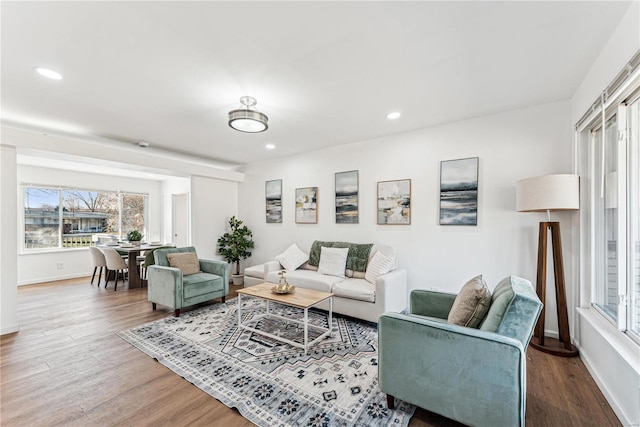 living room with hardwood / wood-style floors