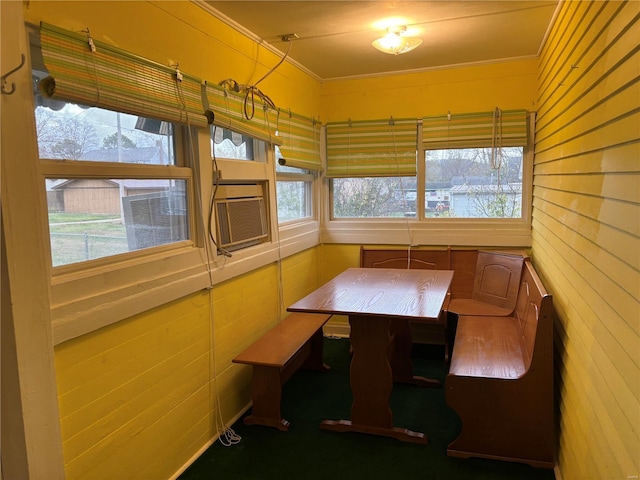 unfurnished dining area featuring a wealth of natural light and crown molding