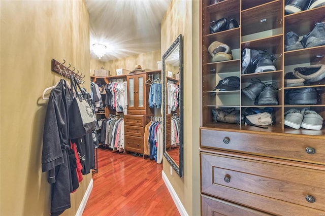 walk in closet featuring hardwood / wood-style flooring