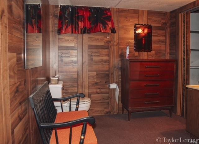 living area featuring carpet flooring and wood walls