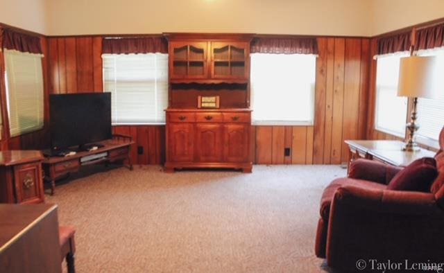 living room with wooden walls and light carpet