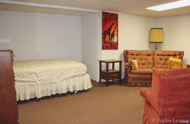 bedroom featuring carpet flooring