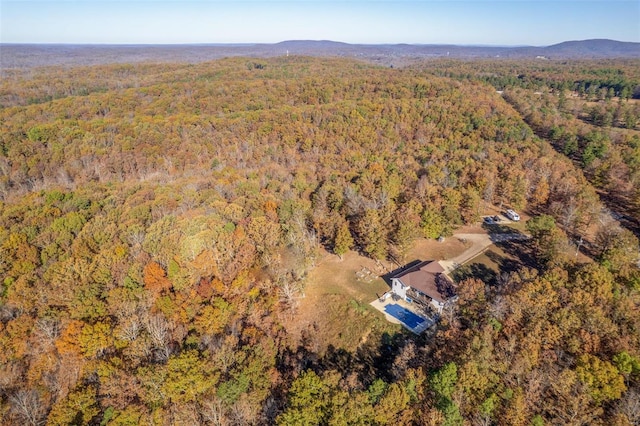 birds eye view of property featuring a mountain view