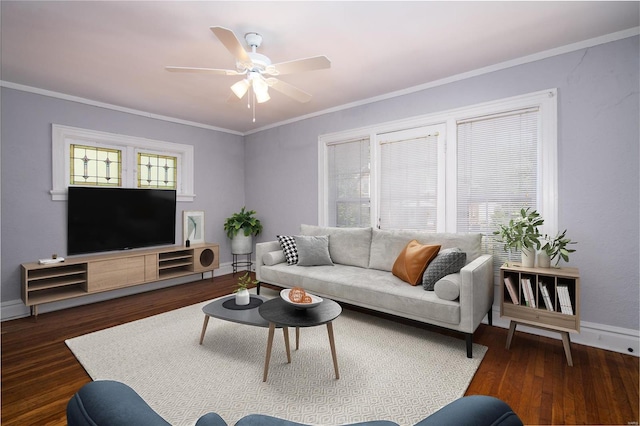 living room with crown molding, ceiling fan, and dark wood-type flooring