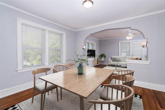 dining area featuring crown molding, ceiling fan, and wood-type flooring