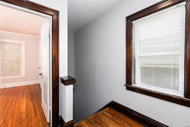 hallway with hardwood / wood-style floors and ornamental molding