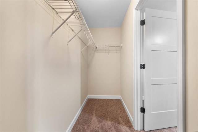 spacious closet featuring carpet floors