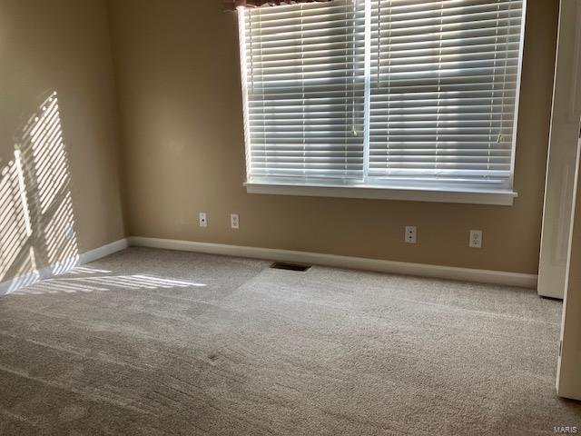 spare room featuring carpet