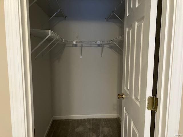 walk in closet with dark colored carpet