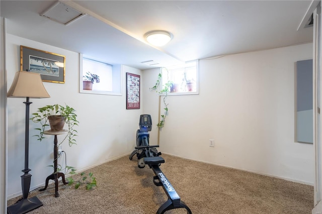 exercise room featuring carpet