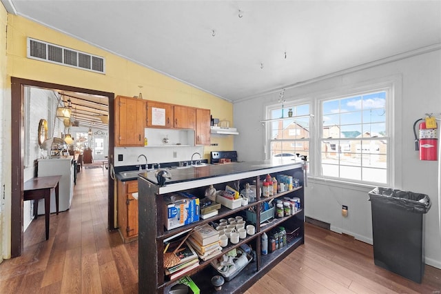 kitchen featuring dark hardwood / wood-style floors, sink, vaulted ceiling, and ornamental molding