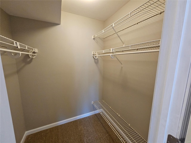 walk in closet with carpet flooring