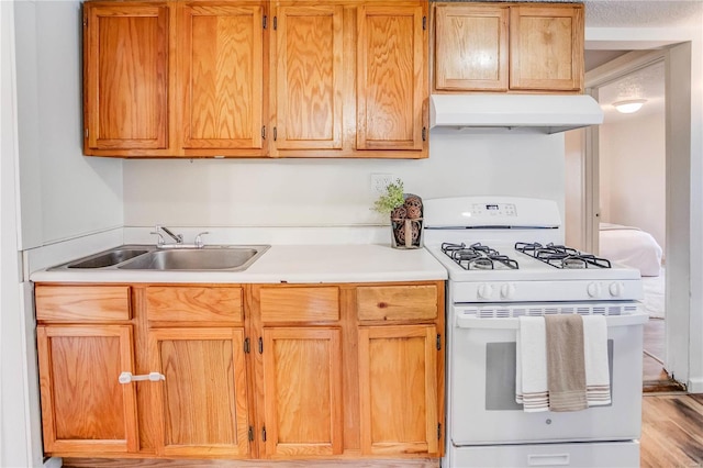 kitchen with light wood-type flooring, sink, and white gas range oven