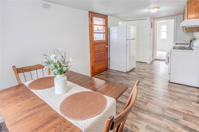 dining room featuring light hardwood / wood-style flooring and a textured ceiling