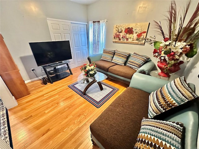 living room with wood-type flooring