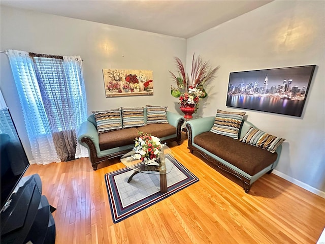 living room with hardwood / wood-style floors