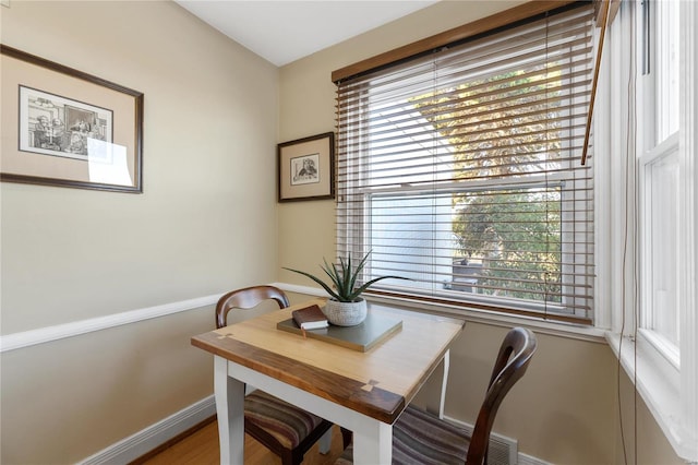 dining room with wood-type flooring and a wealth of natural light