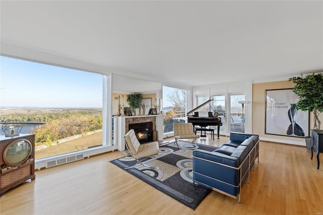 living room with light hardwood / wood-style floors and plenty of natural light