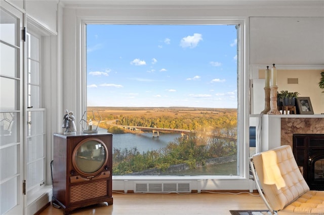 sitting room featuring a fireplace, wood-type flooring, and a water view