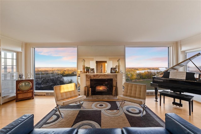 living room featuring light hardwood / wood-style flooring and a high end fireplace