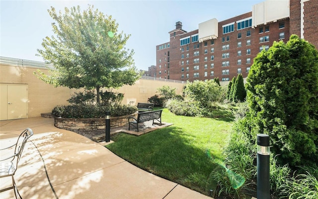 view of yard with a patio