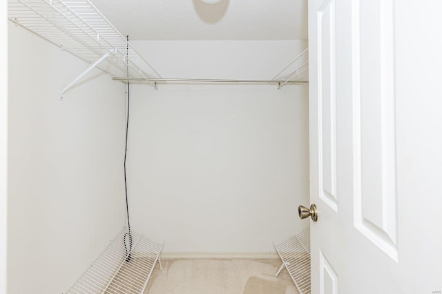 spacious closet with light colored carpet