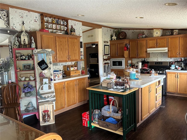 kitchen featuring stainless steel appliances, dark wood-type flooring, a textured ceiling, and vaulted ceiling