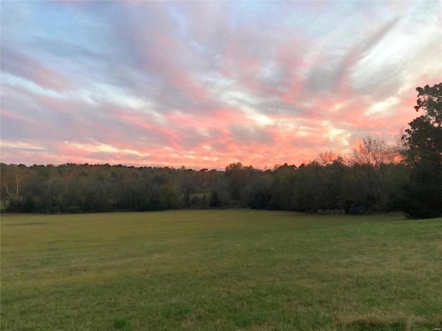 view of yard at dusk