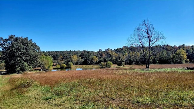 view of local wilderness featuring a water view