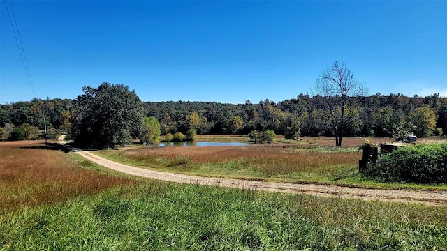 view of yard featuring a rural view and a water view