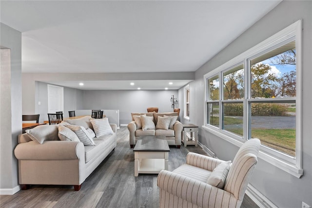 living room featuring dark hardwood / wood-style flooring