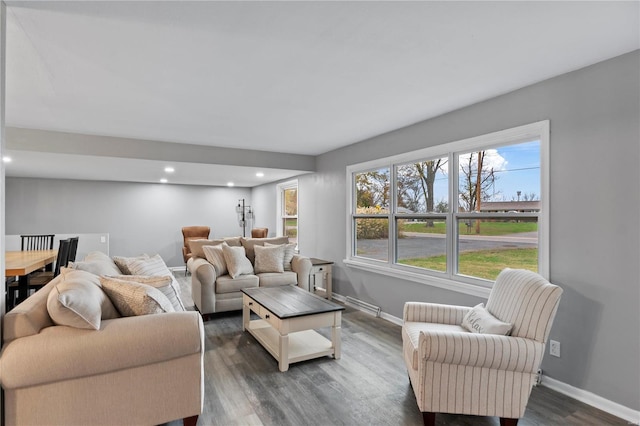 living room with dark hardwood / wood-style floors