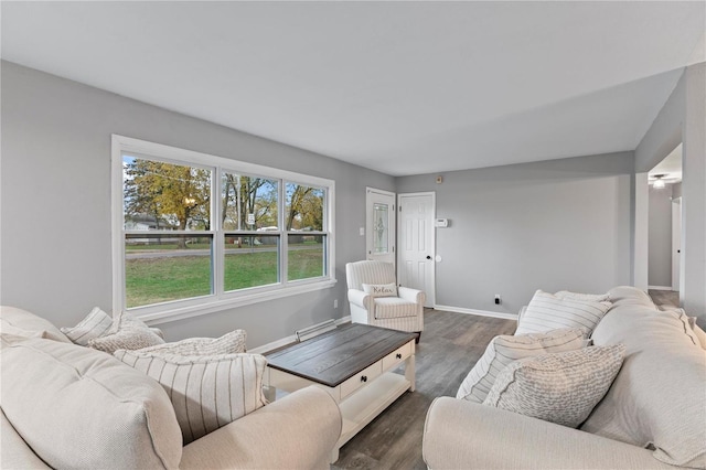 living room featuring dark wood-type flooring