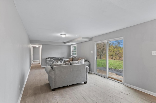 living room featuring light hardwood / wood-style floors