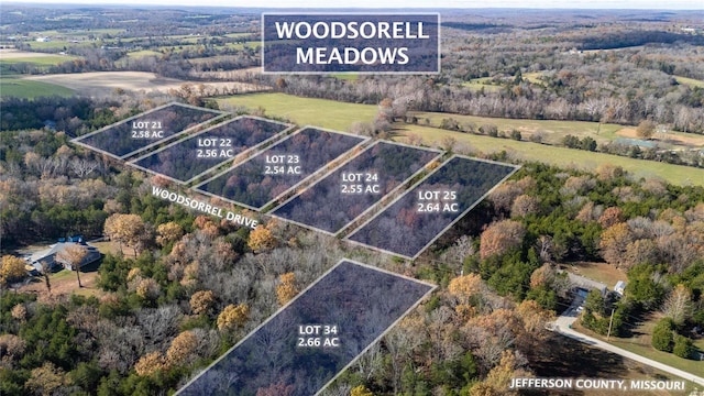 449 Woodsorell Dr, Hillsboro MO, 63050 land for sale