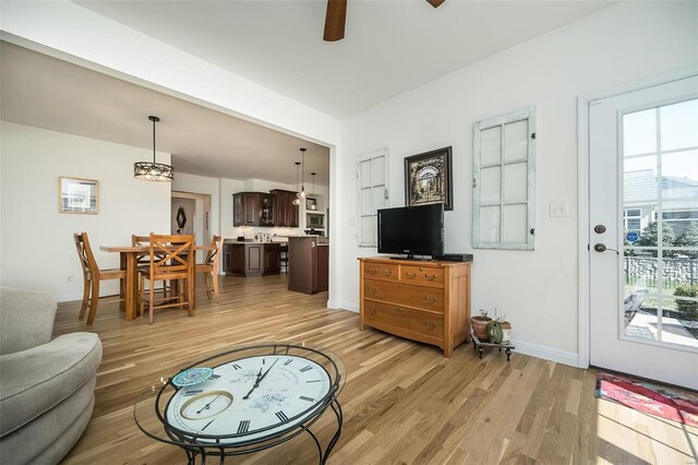 living area featuring a wealth of natural light, light wood-type flooring, and baseboards