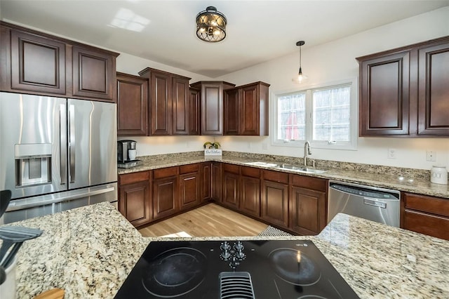 kitchen featuring pendant lighting, light stone counters, light wood-style floors, stainless steel appliances, and a sink