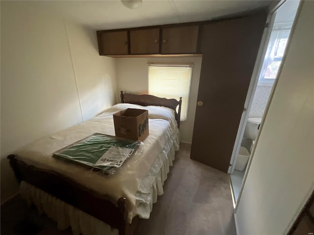 bedroom featuring light colored carpet, multiple windows, and connected bathroom