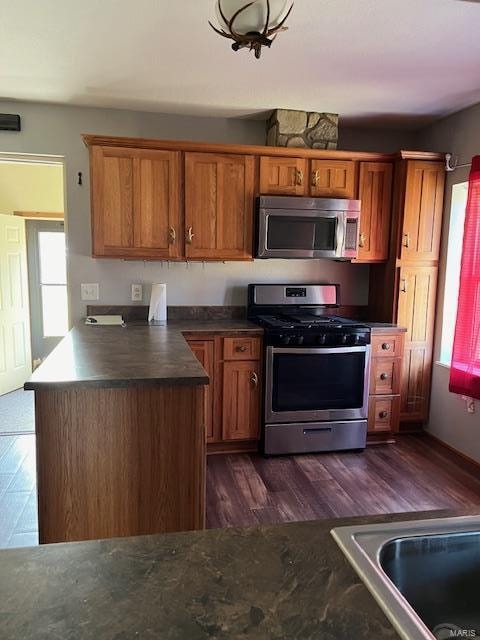 kitchen with stainless steel appliances and dark hardwood / wood-style floors