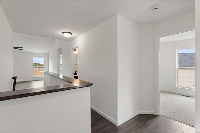 interior space featuring dark hardwood / wood-style flooring and lofted ceiling