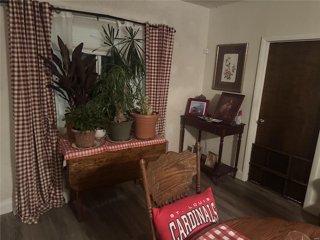 sitting room featuring dark hardwood / wood-style floors