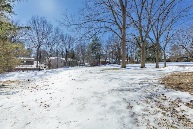 view of yard covered in snow