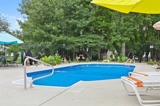 view of swimming pool with a patio