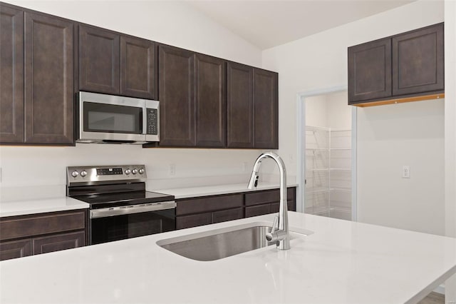 kitchen with stainless steel appliances, dark brown cabinets, sink, and lofted ceiling