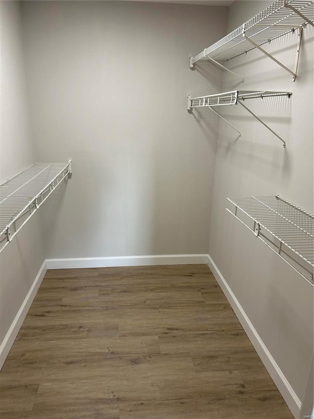 spacious closet with hardwood / wood-style flooring