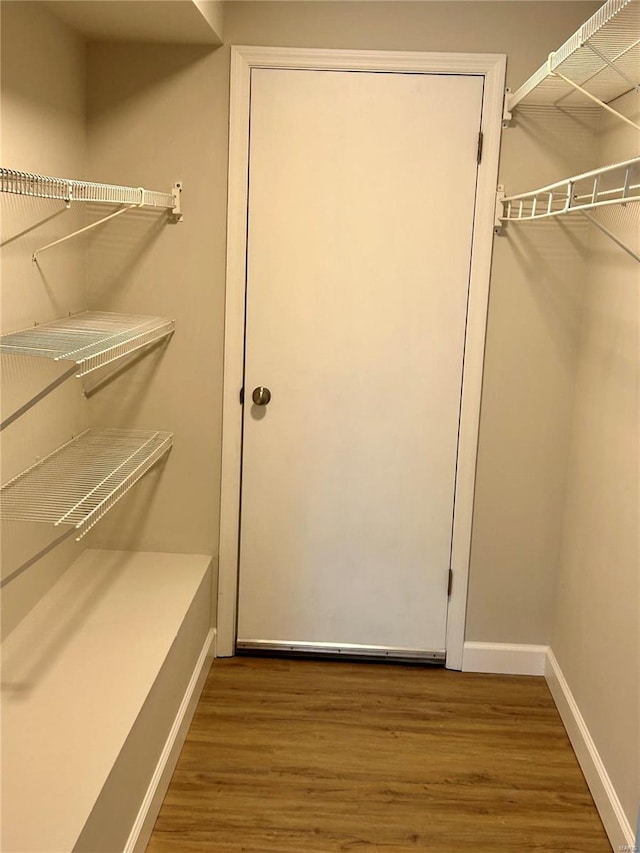 spacious closet with wood-type flooring