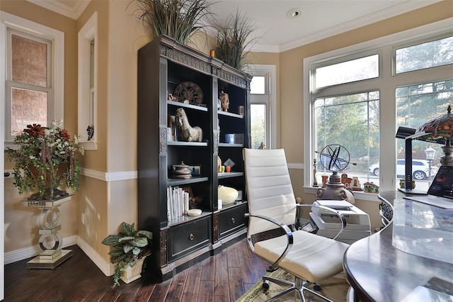 office area featuring hardwood / wood-style flooring and crown molding