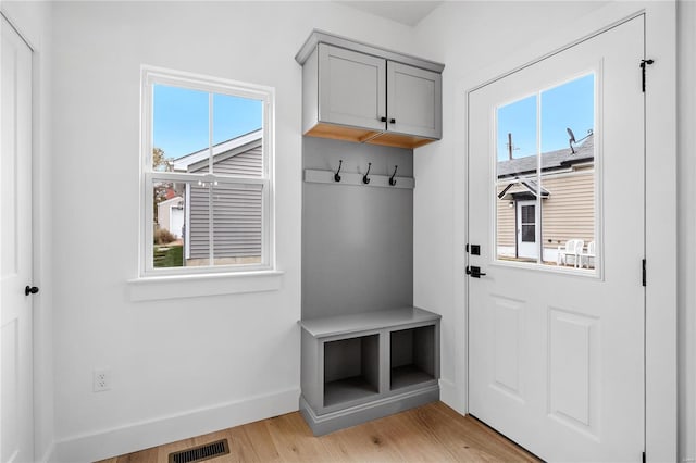 mudroom featuring plenty of natural light and light hardwood / wood-style flooring