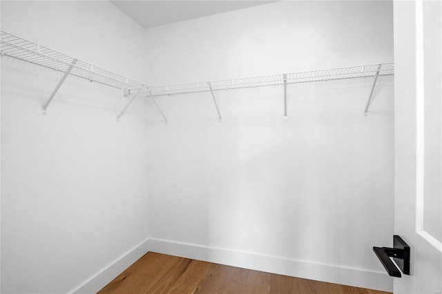 spacious closet featuring wood-type flooring