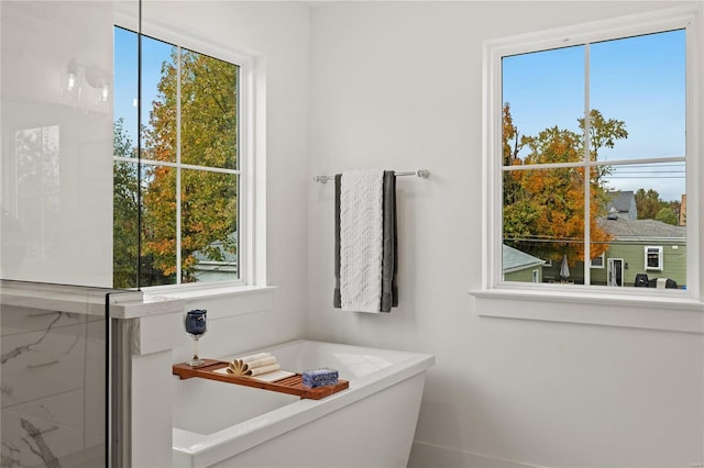 bathroom with a bathing tub and a healthy amount of sunlight